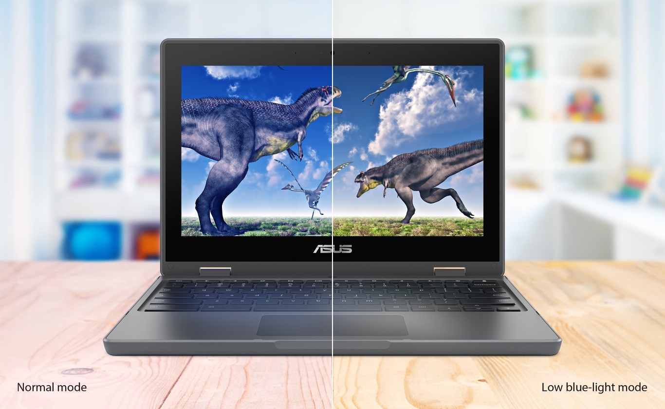 ASUS CR1 Chromebook Flip (CR1104FGA)