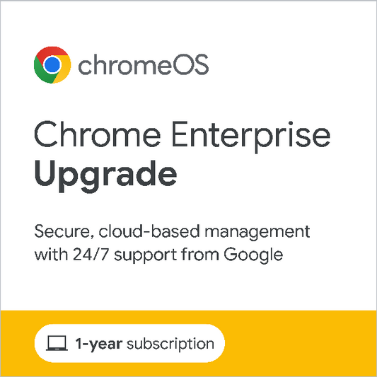 Google Chrome Enterprise Upgrade (annual license)