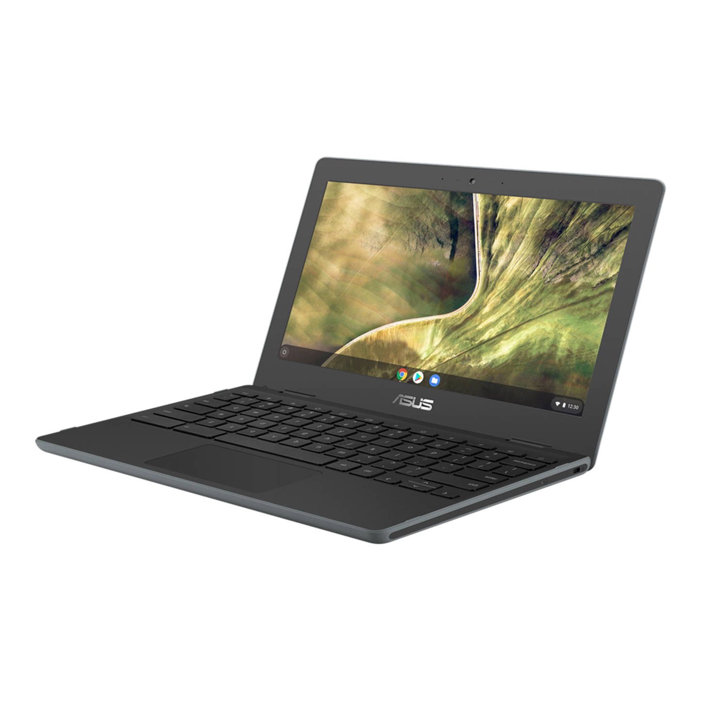 ASUS Chromebook C204