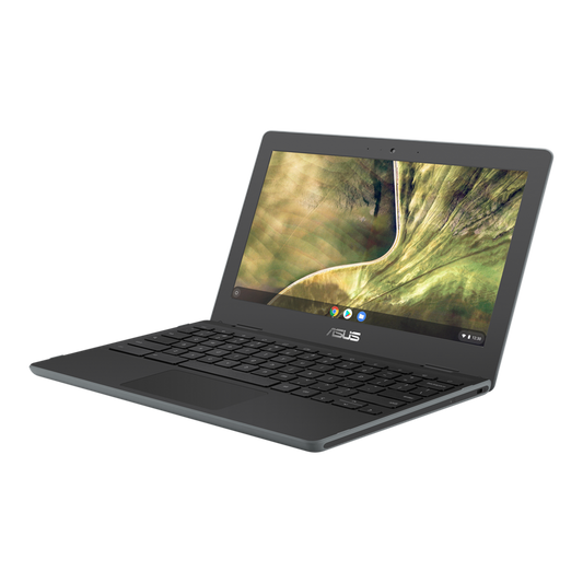 ASUS Chromebook C204