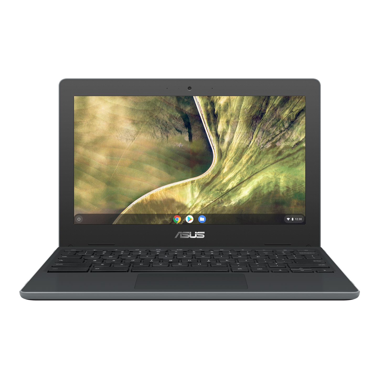 ASUS Chromebook C204